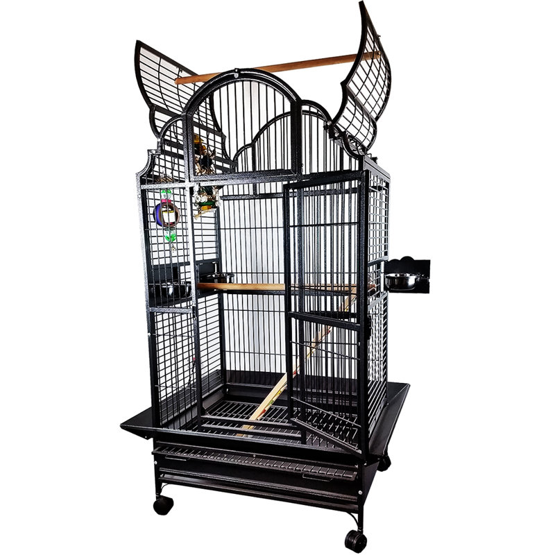 A&E Cage Co. Large Victorian Top Bird Cage with Stand Wayfair